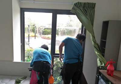 ������ҧ�Դ������͹� Hi-kool 3