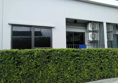 ������ҧ�Դ������͹� Hi-kool 5