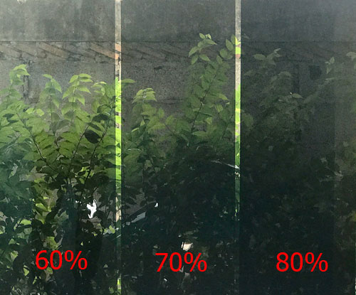 ตัวอย่างความเข้มเนื้อฟิล์ม Xtra-Cole